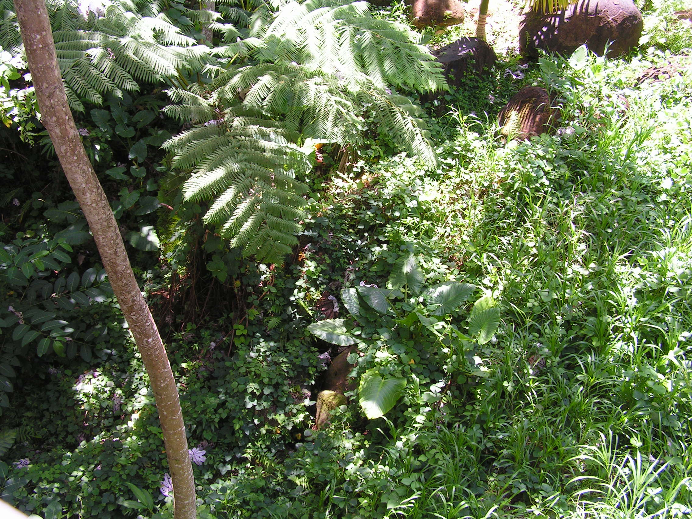 ./2005/Puerto Rico/Part 1/PICT0043.JPG